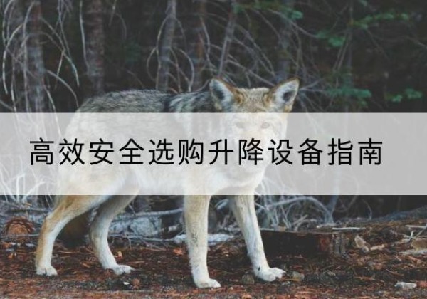 旌阳升降货梯厂家推荐-*安全选购升降设备指南