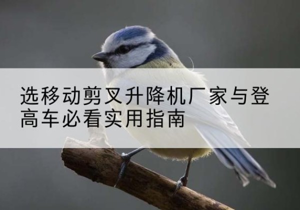 旌阳电动升降机厂家-选移动剪叉升降机厂家与登高车必看实用指南