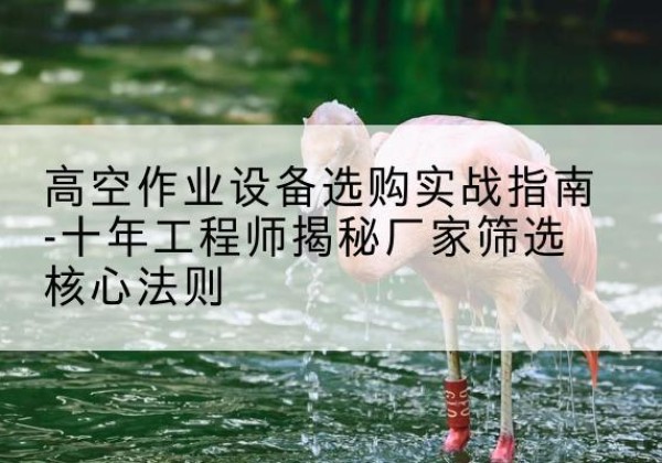 旌阳剪叉式升降机厂家-高空作业设备选购实战指南-十年工程师揭秘厂家筛选核心法则